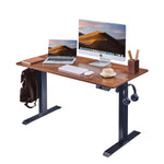 48" x 24" Electric Standing Desk adjustable Standing Desk