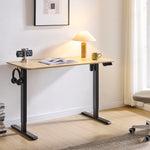 48" x 24" Electric Standing Desk workspace desk setup