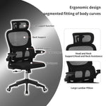 High Back Ergonomic Mesh Office Chair for home office seating
