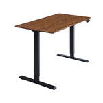 48" x 24" Electric Standing Desk workspace desk setup