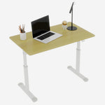Height Adjustable Study Desk for Home Office workspace desk setup