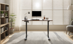 55" x 24" Electric Standing Desk workspace desk setup