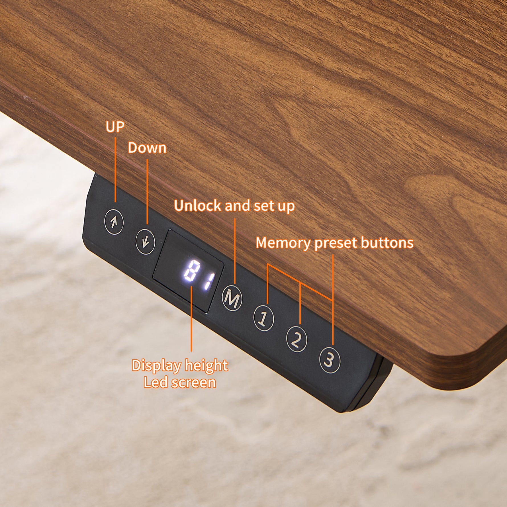 48" x 24" Electric Standing Desk workspace desk setup