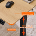 48" x 24" Electric Standing Desk workspace desk setup