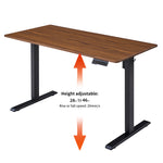 48" x 24" Electric Standing Desk workspace desk setup