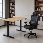 48" x 24" Electric Standing Desk workspace desk setup