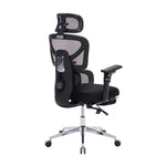 Ergonomic Office Chair with Massage Lumbar Support product image