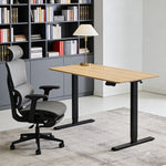 48" x 24" Electric Standing Desk workspace desk setup
