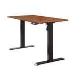 48" x 24" Electric Standing Desk workspace desk setup