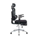 Ergonomic Office Chair with Massage Lumbar Support product image