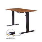 48" x 24" Electric Standing Desk workspace desk setup