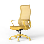 Big & Tall Ergonomic Office Chair - 500 lb Capacity for home office seating
