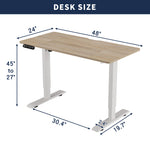 48" x 24" Electric Standing Desk workspace desk setup