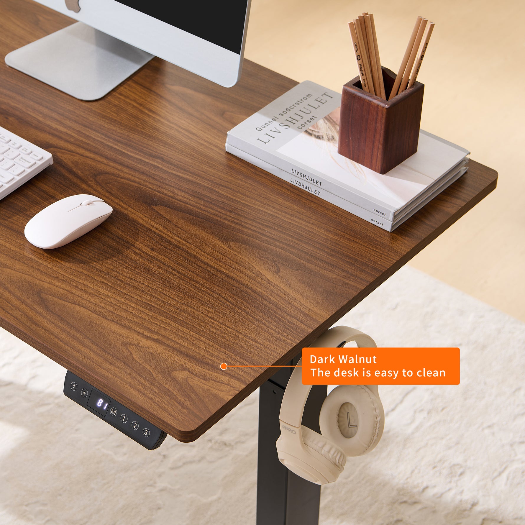 48" x 24" Electric Standing Desk workspace desk setup