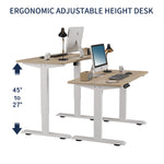 48" x 24" Electric Standing Desk workspace desk setup