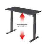 48" x 24" Electric Standing Desk workspace desk setup
